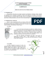 apostilaforragicultura-140317155529-phpapp01.pdf