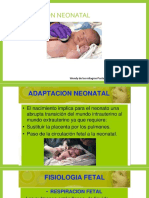 Adaptación Neonatal