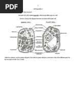 Cell Organelles 2