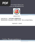 Ciclos biogeoquímicos