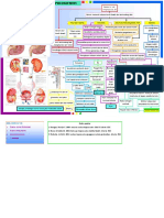 Patofisiologi Pielonefritis 2