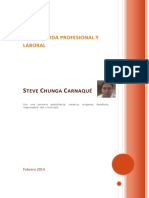 CV Steve - 201402