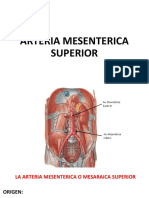 Arteria mesentérica superior: trayecto y relaciones anatómicas