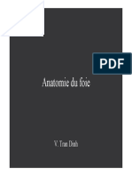 Anatomie Du Foie.