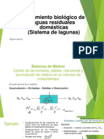 Clase 6 Lagunas PDF