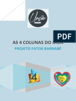 O Fator Barnabé.pdf