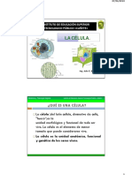 Sesión #02 - La Celula