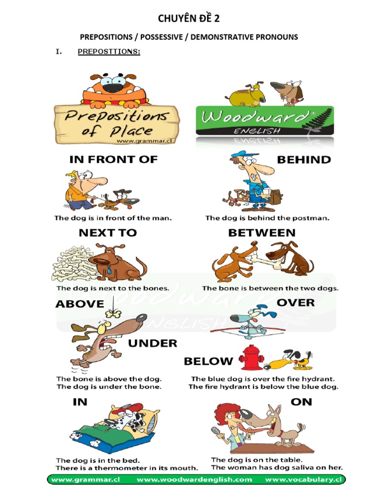 English Prepositions Explained | PDF | Plural | Grammatical Number