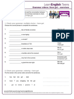 Have Got - Exercises 2 PDF