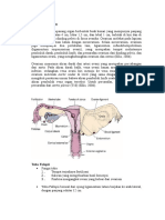 Anatomi Ovarium