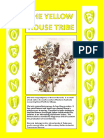 House Tribes Posters - BORONIA