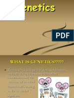 geneticsppt-110821142813-phpapp01_2.pdf
