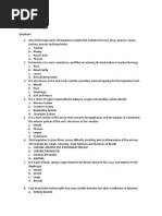 Bio Questions Respiratory System