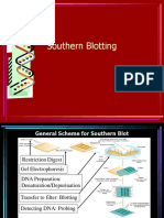 Southern Blotting: Restriction Digest, Gel Electrophoresis, DNA Transfer & Detection