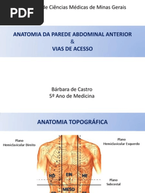 Anatomia Da Parede Abdominal Anatomia Parede Abdominal Cheapest