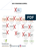 Organograma Nova Empresa.