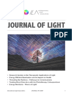 The Light_Stephen L.pdf
