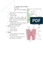 Division of Larynx