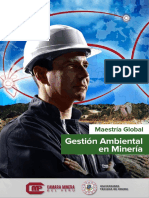 Maestría Global en Gestión Ambiental en Mineria
