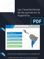 características de las pequeñas y medianas empresas en Argentina