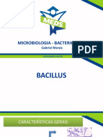 Bacillus - Slides