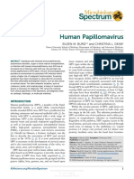Human Papillomavirus: Eileen M. Burd and Christina L. Dean