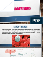 Leucotrienos