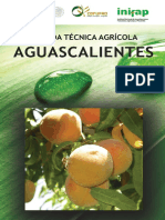 Agenda Técnica Aguascalientes OK