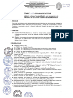 DIRECTIVA 016-2018.pdf