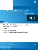 ABAP meets HANA.pdf