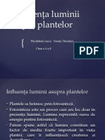 Influenta Luminii Asupra Plantelor (Autosaved)