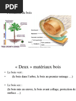 Propriétés mécaniques et physiques du bois | PDF | Élasticité (Physique ...