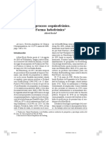 04_hoche.pdf