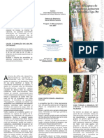 Armadilha Bicudo PDF