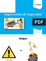 Inspecciones-Sur.pdf