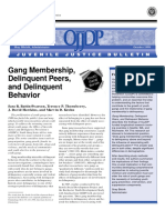 Gang Membership, Delinquent Peers, and Delinquent Behavior: Shay Bilchik, Administrator October 1998