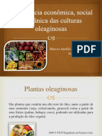 Importância Econômica Social e Botânica Das Culturas PDF.1
