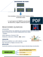 Metabolismo de Xenobioticos