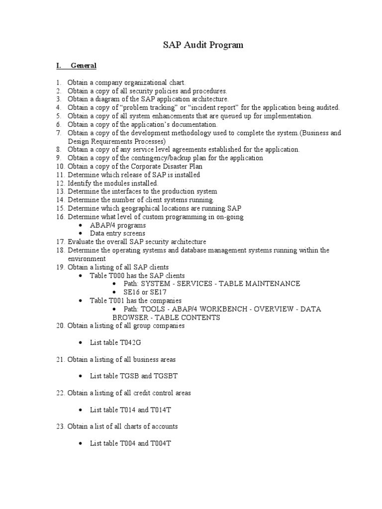 SAP Audit Program Overview | PDF