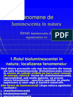 C5 Biomagnetism -Fenomene de Luminescenta in Natura