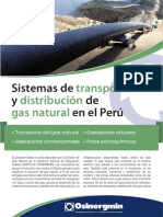 Sistemas Transporte Gas Natural