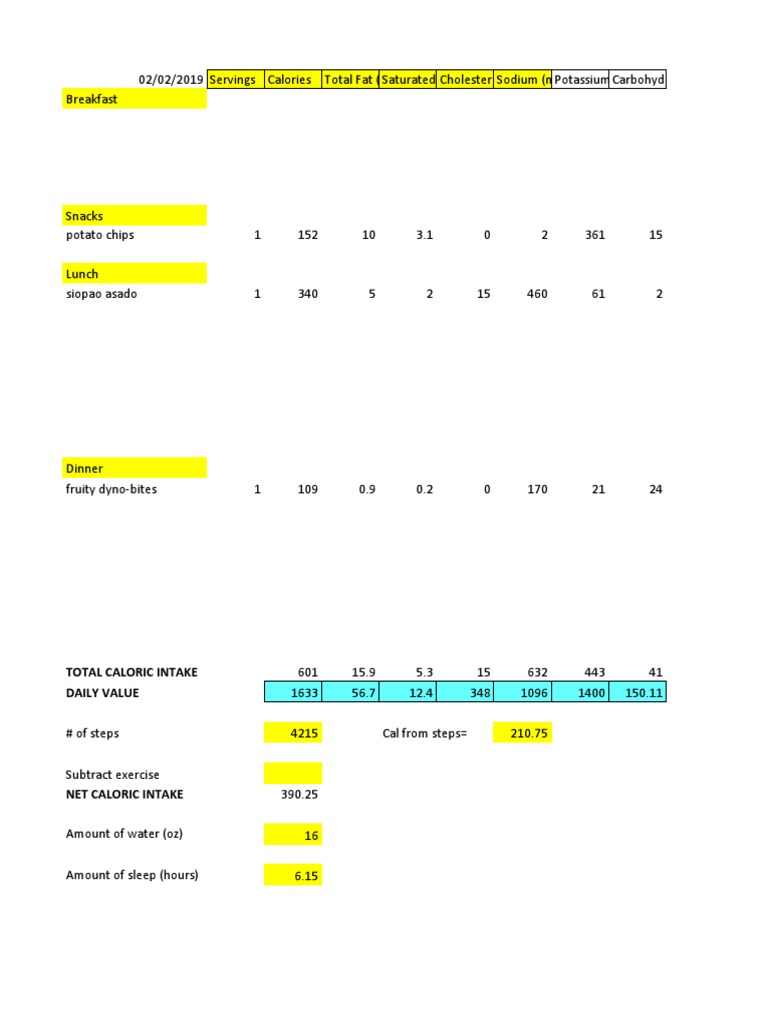 Foodlogtemplate02 02 - Sheet1 | PDF | Wellness