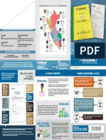 Triptico Formulario de Petitorio Minero.pdf