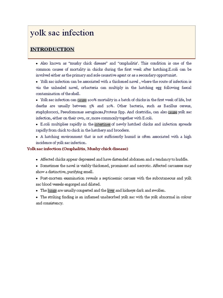 Yolk Sac Infection (Omphalitis, Mushy Chick Disease) | PDF | Yolk ...