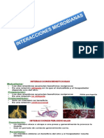 Interracciones Microbianas 8 (1)