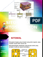 Sitosol Dan Sitoskelet