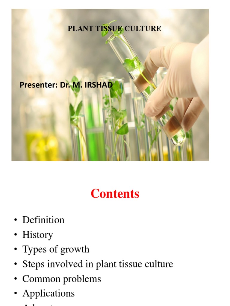 History and Definition of Tissue Culture | PDF | Plant Hormone | Auxin