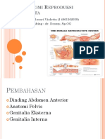 Anatomi dan Fisiologi Reproduksi Wanita.pptx