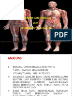 anatomi.pptx