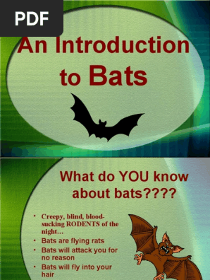 Bats
